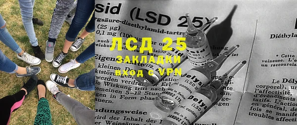 прущие грибы Алексин
