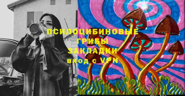 ПСИЛОЦИБИНОВЫЕ ГРИБЫ Алзамай