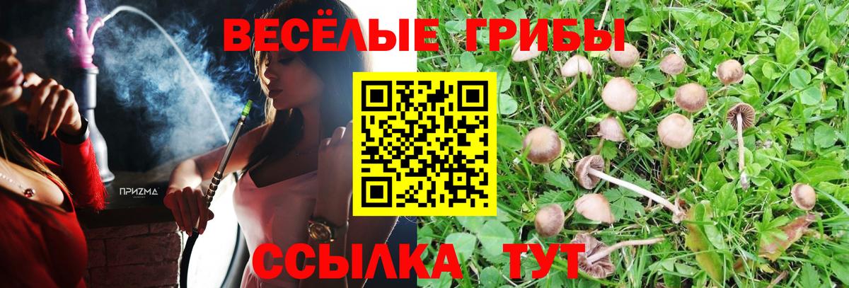 Галлюциногенные грибы ЛСД  Галлюциногенные грибы мухоморы  Ачинск  Вход с VPN 